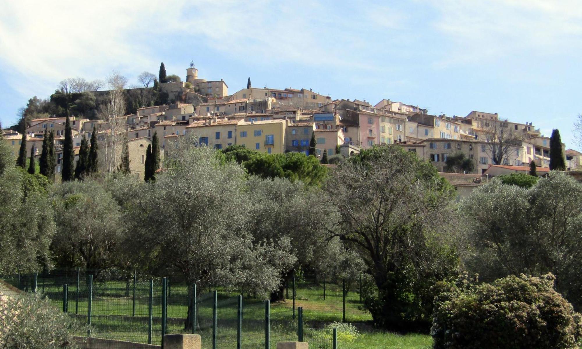 Hauts De Saint Pierre Maison De Ville 3 Chambres, Belle Terrasse Fayence Bagian luar foto